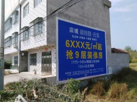 襄城墙体广告质量分析
