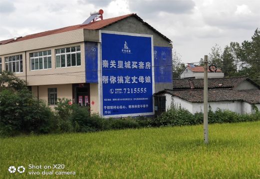 襄城决定墙体广告价格的因素有哪些？