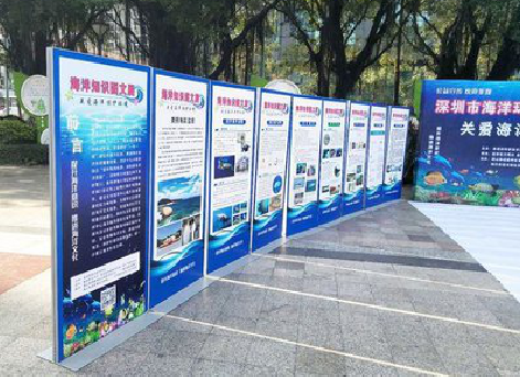 襄城KT板的种类和知识。